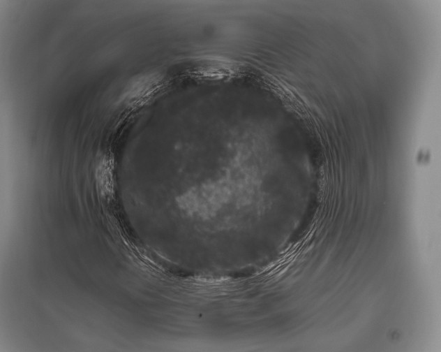 X0000095911394200801111222