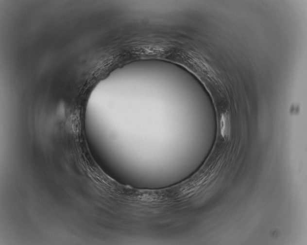 X0000095911395200801111222