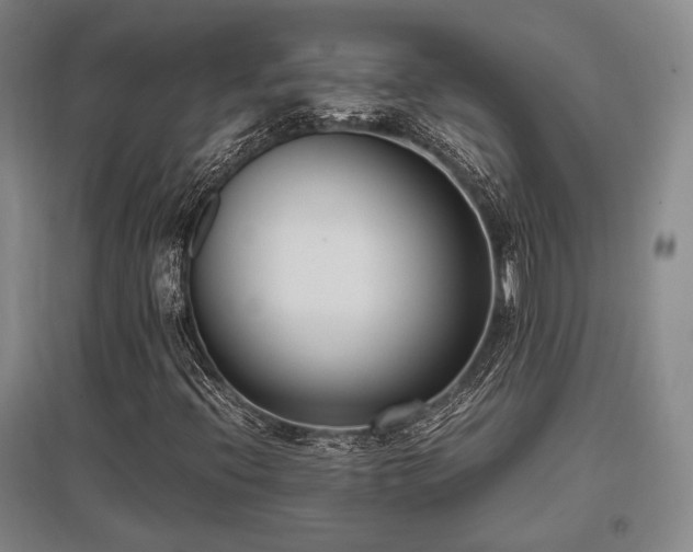 X0000095911396200801111222