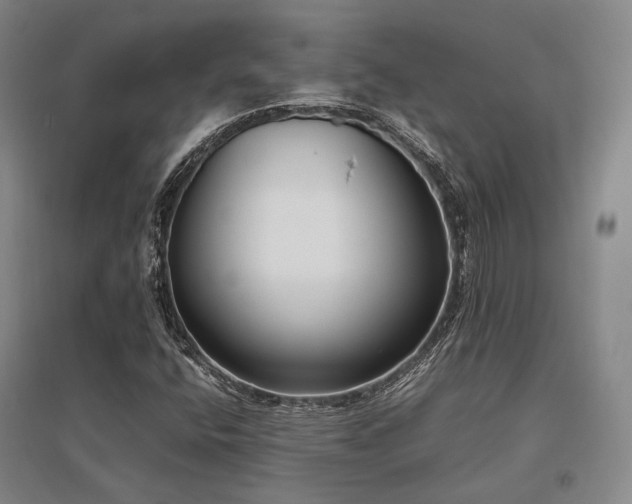 X0000095911400200801111222