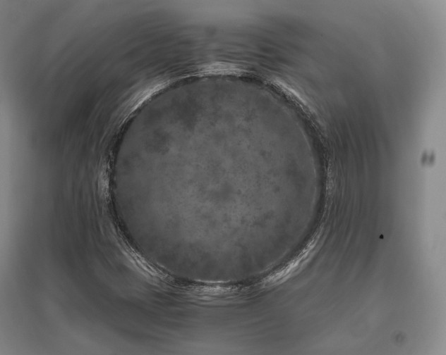 X0000095911401200801111222