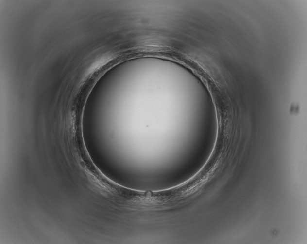 X0000095911402200801111222