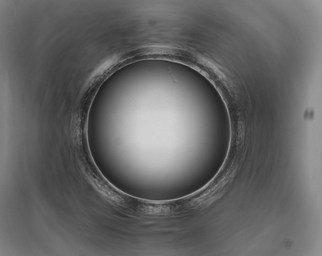 X0000095911403200801111222