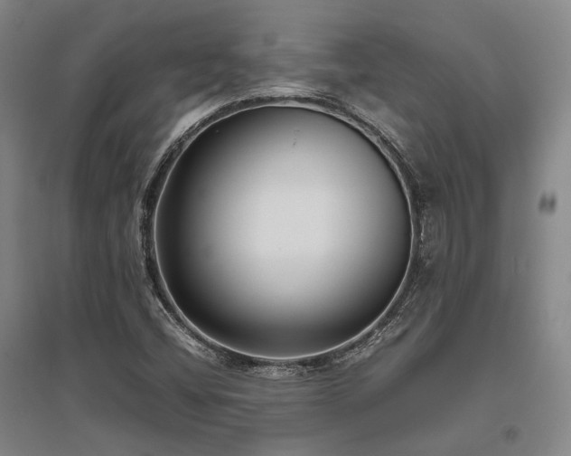 X0000095911404200801111222