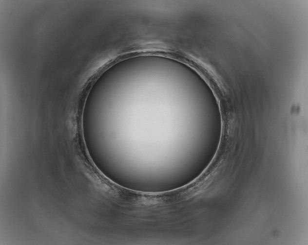 X0000095911407200801111222