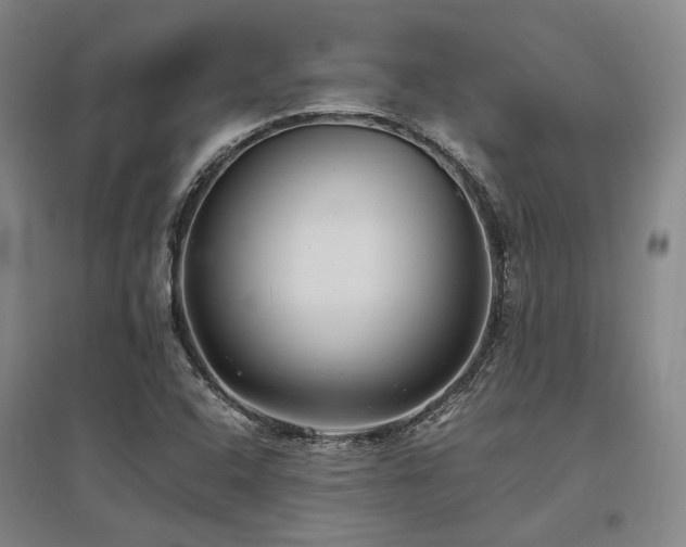 X0000095911408200801111222