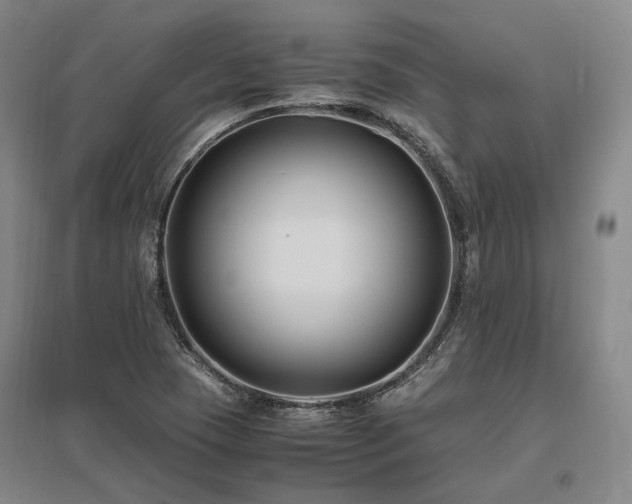 X0000095911409200801111222