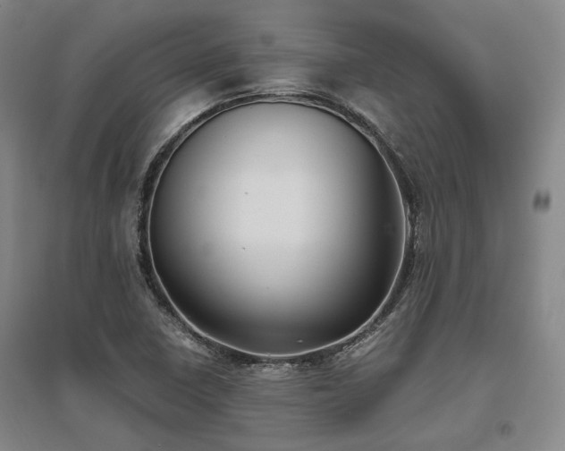 X0000095911410200801111222