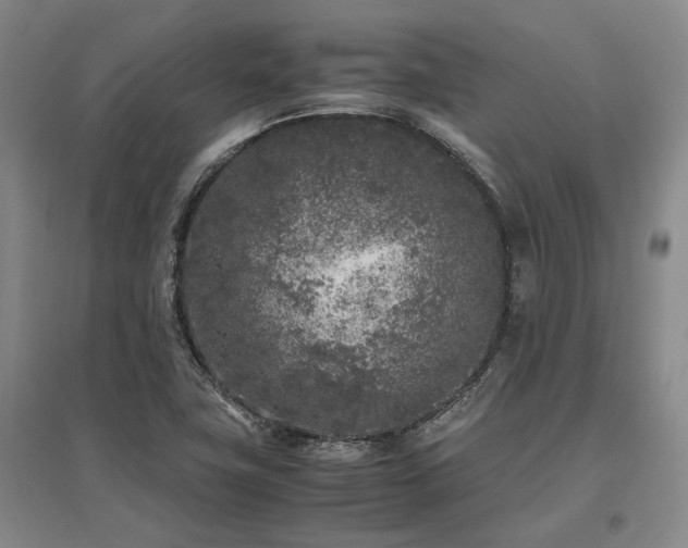 X0000095911411200801111222