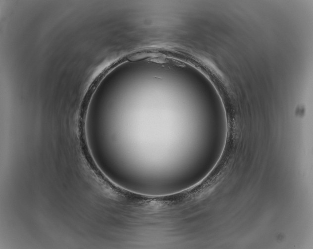 X0000095911412200801111222