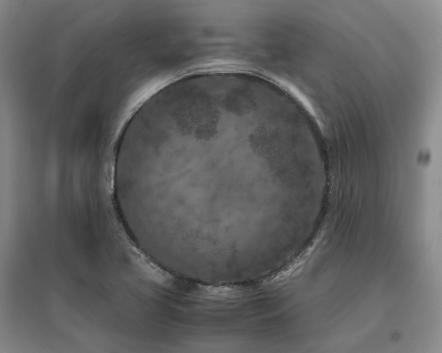 X0000095911413200801111222