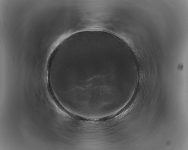 X0000095911414200801111222