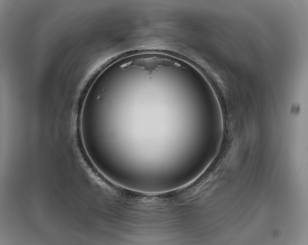 X0000095911416200801111222