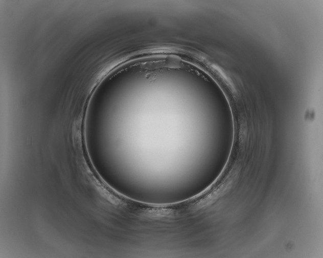 X0000095911417200801111222