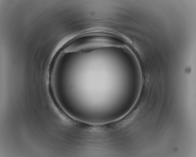 X0000095911418200801111222