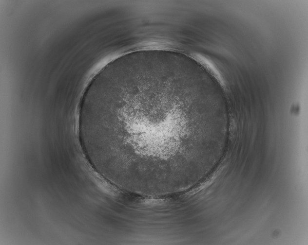 X0000095911419200801111222