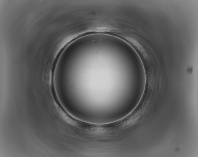 X0000095911420200801111222