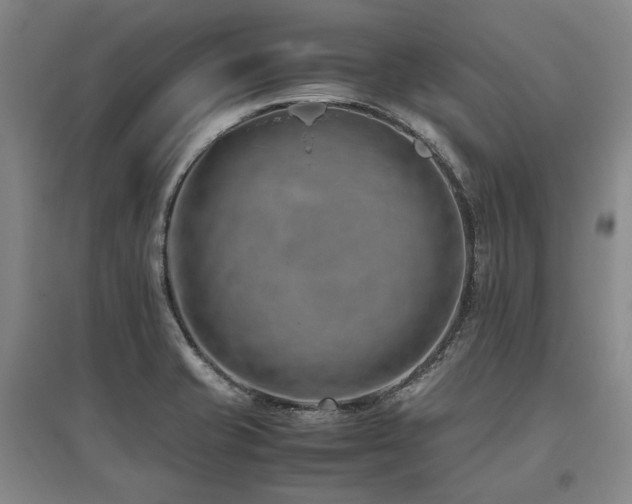 X0000095911421200801111222