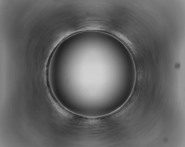 X0000095911423200801111222