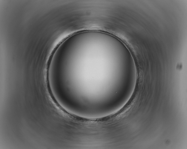 X0000095911424200801111222