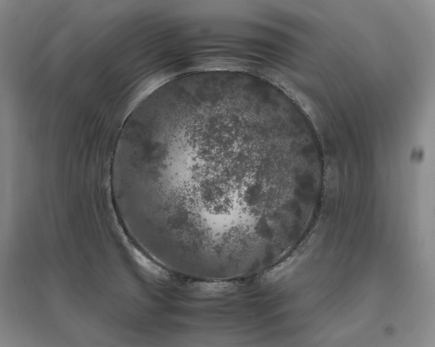 X0000095911425200801111222