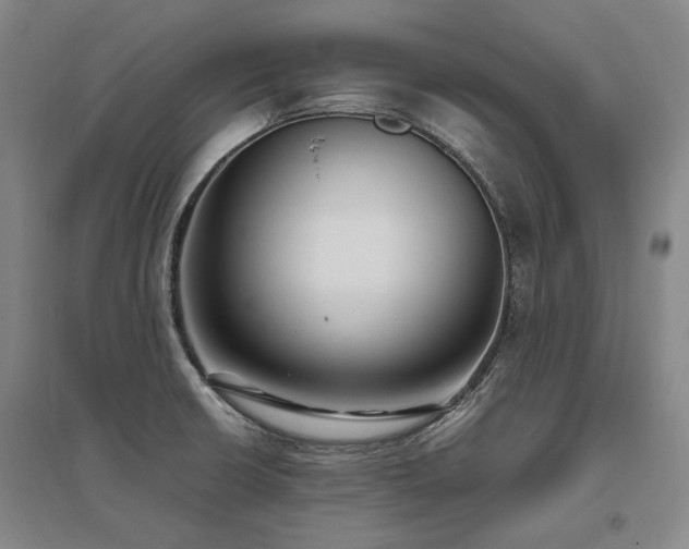 X0000095911426200801111222