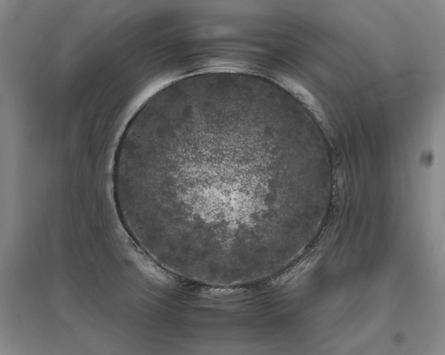 X0000095911427200801111222