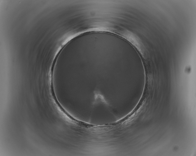 X0000095911428200801111222