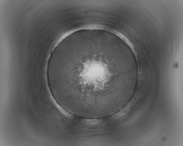 X0000095911429200801111222