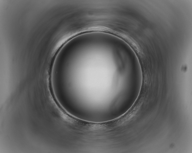 X0000095911430200801111222