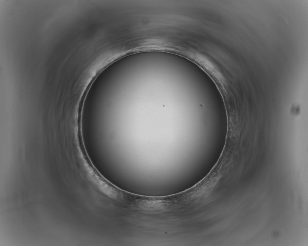 X0000095911431200801111222