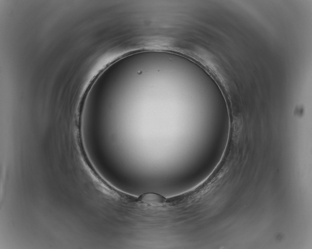 X0000095911432200801111222