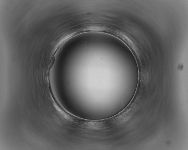X0000095911433200801111222