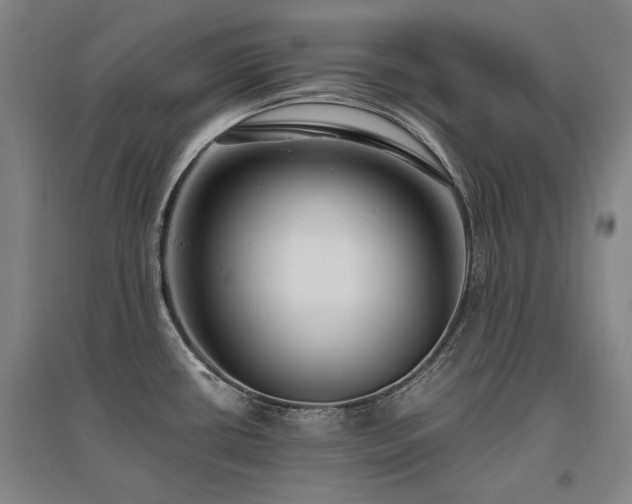 X0000095911434200801111222