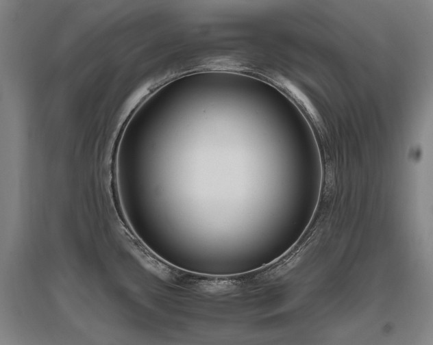 X0000095911435200801111222