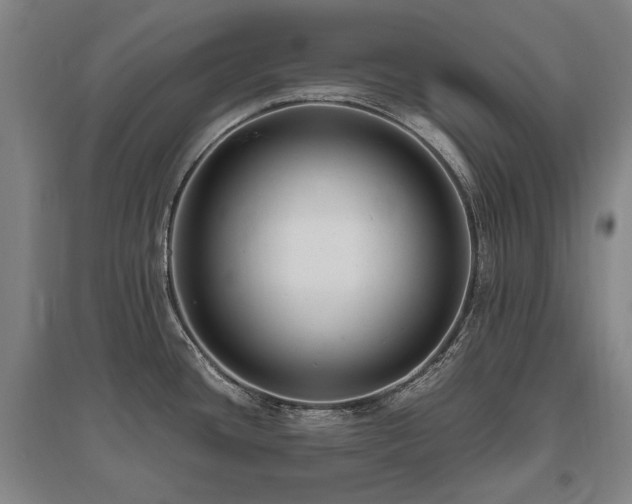 X0000095911436200801111222