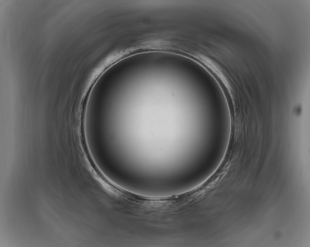 X0000095911437200801111222