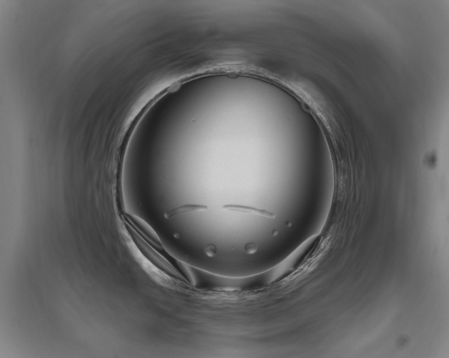 X0000095911438200801111222