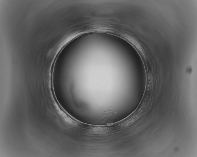 X0000095911439200801111222