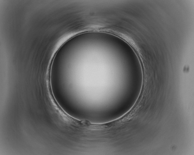 X0000095911440200801111222