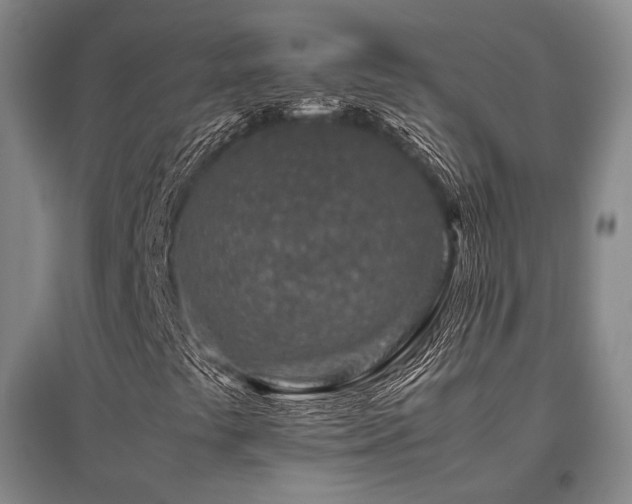 X0000095911441200801111222