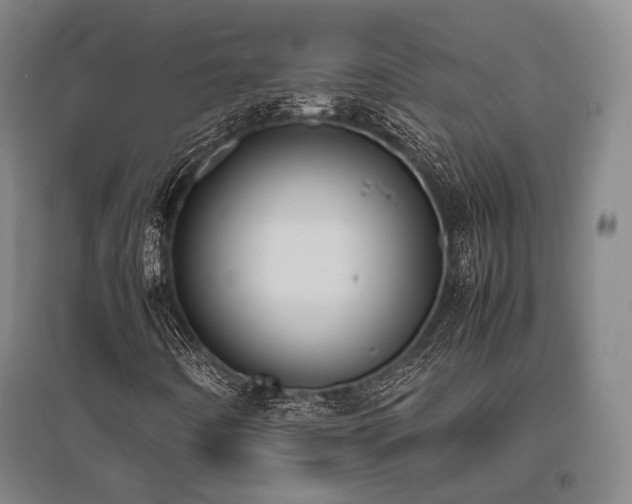 X0000095911442200801111221