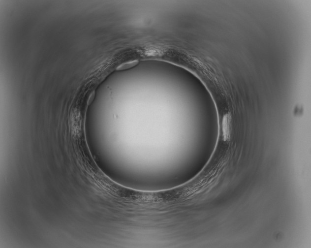 X0000095911443200801111221