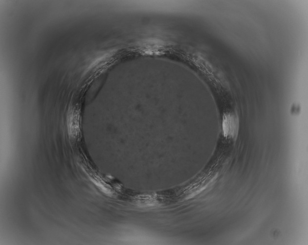 X0000095911444200801111221