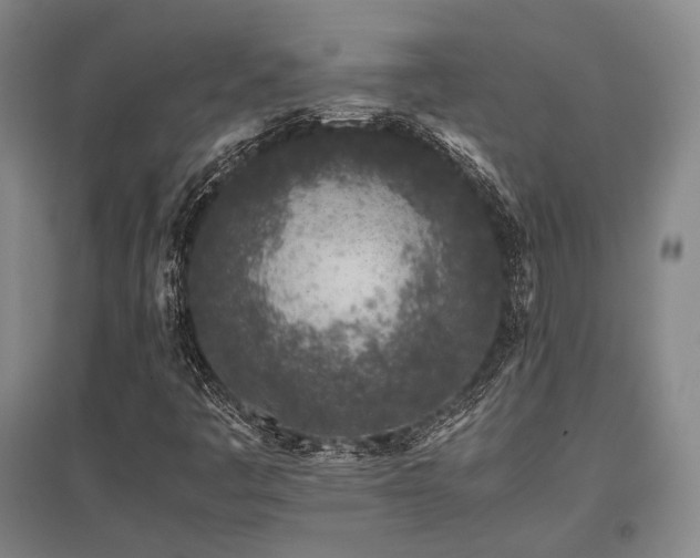X0000095911445200801111221