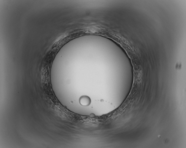 X0000095911446200801111221