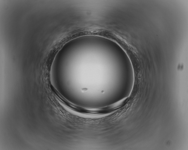 X0000095911447200801111221