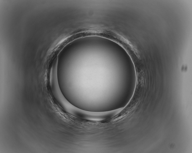 X0000095911448200801111221