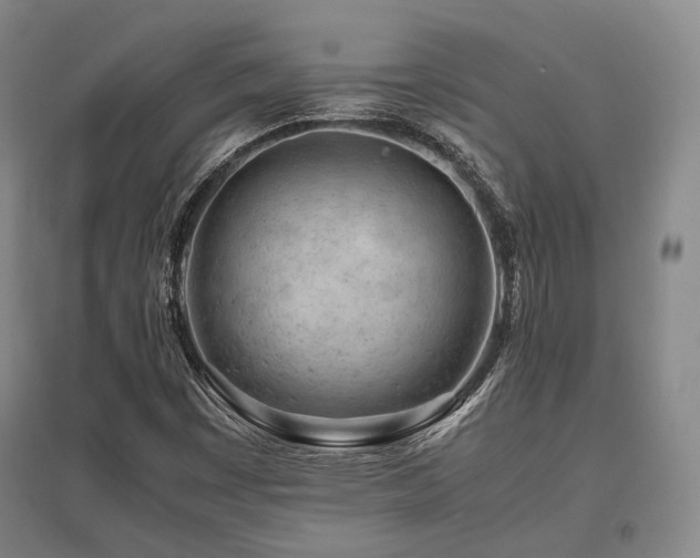 X0000095911449200801111221