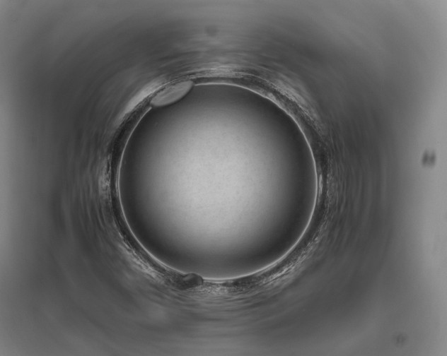 X0000095911450200801111221